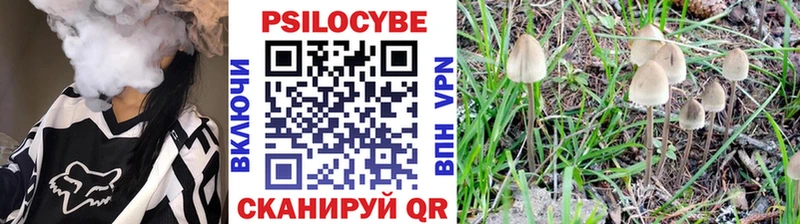 Псилоцибиновые грибы Cubensis  Ртищево 