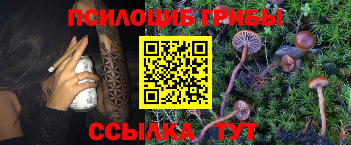 Галлюциногенные грибы GOLDEN TEACHER  Галлюциногенные грибы GOLDEN TEACHER  Вход с VPN  Ртищево 