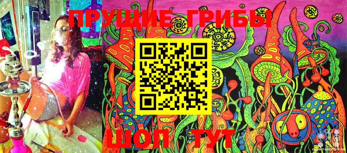 Псилоцибиновые грибы прущие грибы  Ртищево 